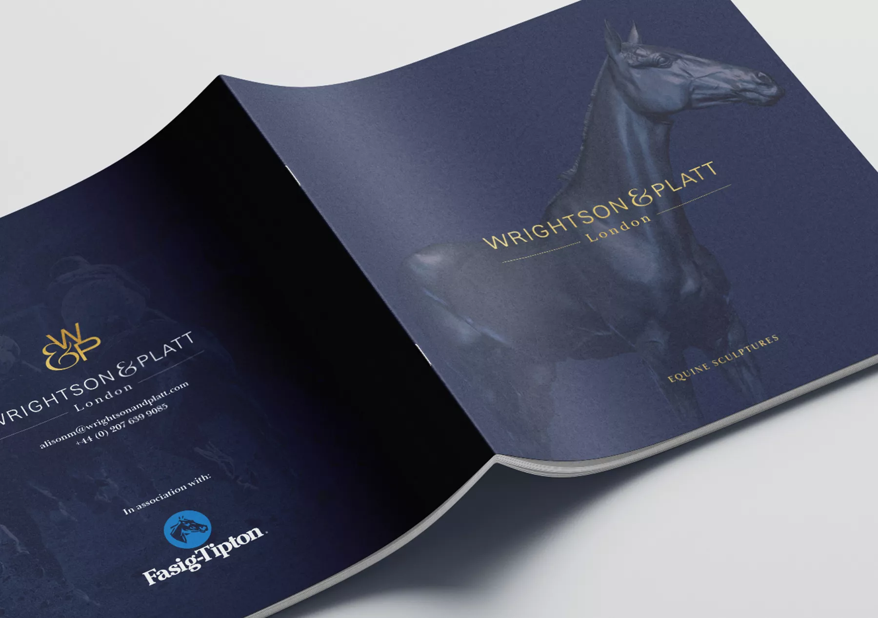 luxury brochure design and foil